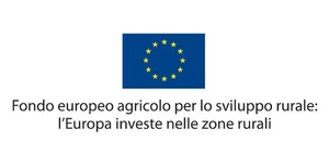 Fondo-Europeo.png